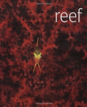 Cover art for Reef