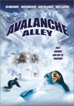 Cover art for Avalanche Alley