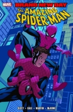 Cover art for Spider-Man: Brand New Day, Vol. 3
