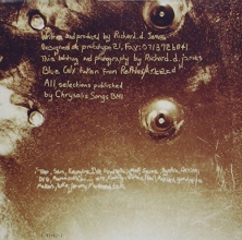 Cover art for Selected Ambient Works Volume 2