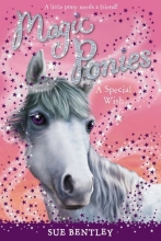 Cover art for A Special Wish #2 (Magic Ponies)
