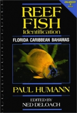 Cover art for Reef Fish Identification: Florida, Caribbean, Bahamas
