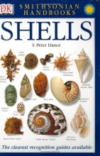 Cover art for Shells (Smithsonian Handbooks)