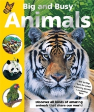Cover art for Big and Busy Animals