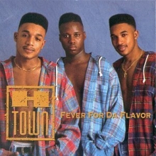 Cover art for FEVER FOR DA FLAVOR