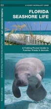 Cover art for Florida Seashore Life: A Folding Pocket Guide to Familiar Plants and Animals (Pocket Naturalist Guide Series)
