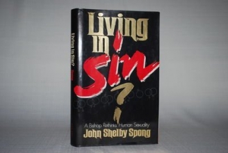 Cover art for Living in Sin: A Bishop Rethinks Human Sexuality