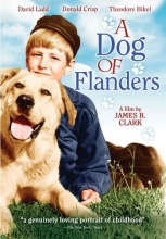 Cover art for A Dog of Flanders