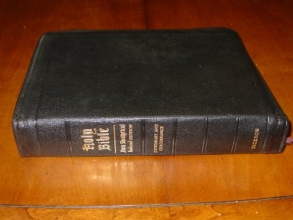 Cover art for The New Analytical Bible and Dictionary of the Bible