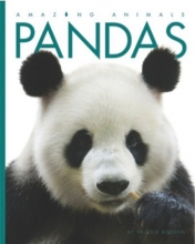 Cover art for Amazing Animals: Pandas