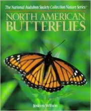 Cover art for North American Butterflies (National Audubon Society Collection Nature Series)