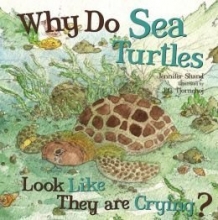 Cover art for Why Do Sea Turtles Look Like They Are Crying?