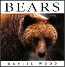 Cover art for Bears (Wildlife)