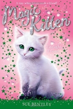 Cover art for Firelight Friends #10 (Magic Kitten)