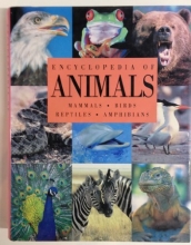 Cover art for Encyclopedia of Animals