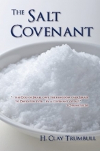 Cover art for The Salt Covenant
