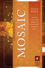 Cover art for Holy Bible: Mosaic NLT