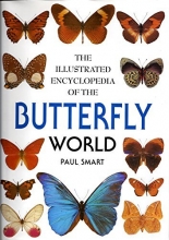 Cover art for The Illustrated Encyclopedia of the Butterfly World