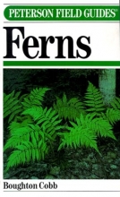 Cover art for A Field Guide to Ferns and Their Related Families Northeastern and Central North America With a Section on Species Also Found in British Isle and Western Europe (Peterson Field Guides)