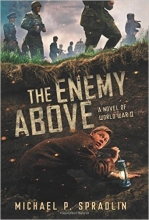 Cover art for The Enemy Above: A Novel of World War II