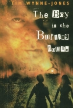 Cover art for The Boy in the Burning House