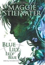 Cover art for Blue Lily, Lily Blue
