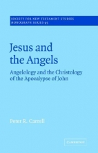 Cover art for Jesus and the Angels: Angelology and the Christology of the Apocalypse of John (Society for New Testament Studies Monograph Series)