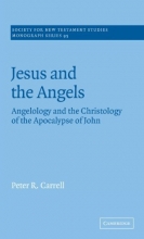 Cover art for Jesus and the Angels: Angelology and the Christology of the Apocalypse of John (Society for New Testament Studies Monograph Series)