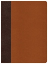 Cover art for The Mission of God Study Bible, Brown/Tan Simulated Leather