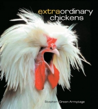 Cover art for Extraordinary Chickens