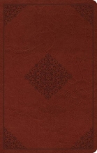 Cover art for ESV Large Print Value Thinline Bible (TruTone, Tan, Ornament Design)