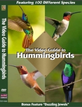Cover art for The Video Guide to Hummingbirds: Featuring 100 different hummingbirds. Bonus Program: Dazzling Jewels. Filmed in: Panama, Costa Rica, Columbia, Venezuela, Ecuador, Peru and Brazil