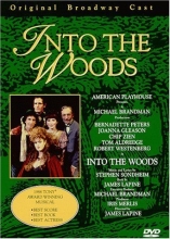 Cover art for Into the Woods