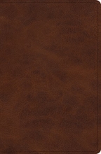 Cover art for ESV Verse-by-Verse Reference Bible (TruTone, Deep Brown)