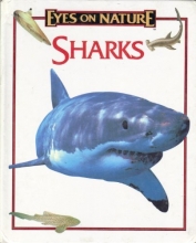 Cover art for Sharks