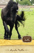 Cover art for Summer Camp Adventure (Keystone Stables)