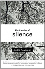 Cover art for The Thunder of Silence