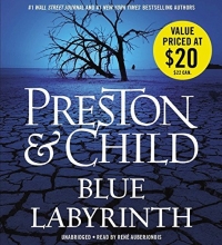 Cover art for Blue Labyrinth