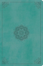 Cover art for ESV Value Compact Bible (TruTone, Turquoise, Emblem Design)