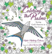 Cover art for Coloring the Psalms: Seeing God's Patterns in Our Lives