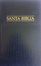 Cover art for Santa Biblia Reina-Valera 2009 (Edicion LDS / SUD)