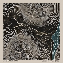 Cover art for Rivers In The Wasteland