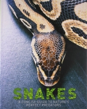 Cover art for Snakes: A Concise Guide to Nature's Perfect Predators