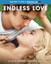 Cover art for Endless Love 