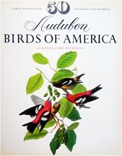 Cover art for 50 Audubon birds of America: From the original double elephant folio