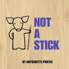 Cover art for Not a Stick