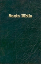 Cover art for Biblia Anotada de Scofield-RV 1960 (Spanish Edition)