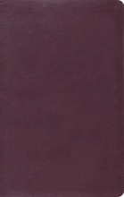Cover art for ESV Gift Bible (TruTone, Burgundy)