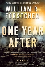 Cover art for One Year After (John Matherson #2)