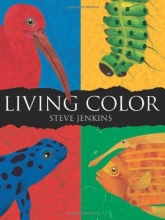 Cover art for Living Color